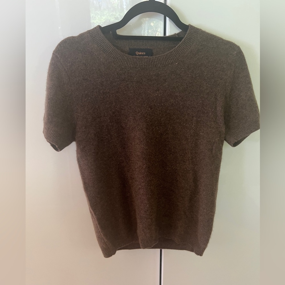 Quince Soft Brown Cashmere Knit